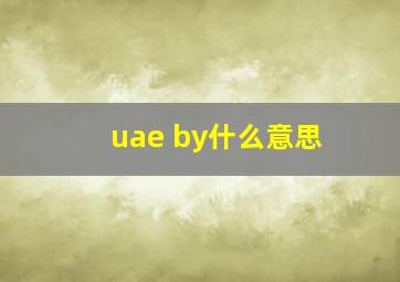 uae by什么意思